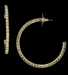 Large Hoop Earrings