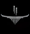 Straight drop crystal necklace set